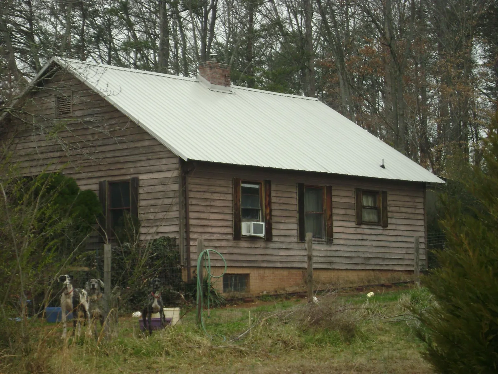 White metal roof on an old wood sided farmhouse, from a Metal Roof Installation job in Palo Cedro
